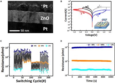 A Quantized Convolutional Neural Network Implemented With Memristor for Image Denoising and Recognition